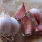 Silverskin garlic