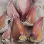 Dunganski garlic