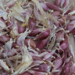 Dunganski garlic