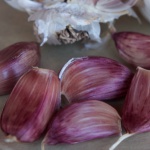 Rojo de Castro garlic