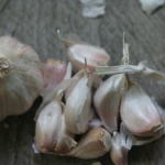 Glenlarge garlic