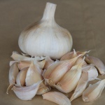 White garlic