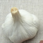 Manuel Benitee garlic